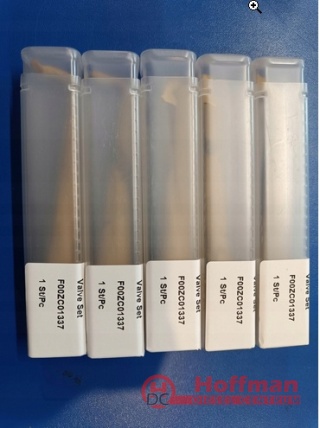 ZAWÓR WTRYSKIWACZA ZAWOREK F00ZC01337 0445110457 0445110540 IVECO CASE