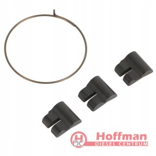 Zestaw zapadek CAMPAGNOLO FH-BO014