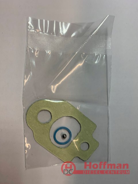 DELPHI ZESTAW NAPRAWCZY USZCZELKI POMPY WTRYSKOWEJ DP200 PERKINS CASE JCB