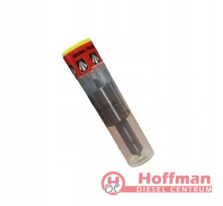 ROZPYLACZ końcówka wtrysku C-360 DSL150A2 WZM