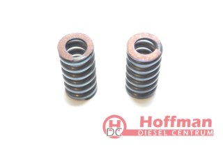 Sprężyny pompy wtryskowej VE VR SPACO 11017 1467010352 1467010494