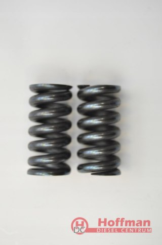Sprężyny pompy wtryskowej VE VR SPACO 11017 1467010352 1467010494