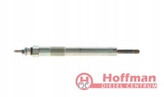 Świeca żarowa Bosch 0250202065 Isuzu Opel Frontera