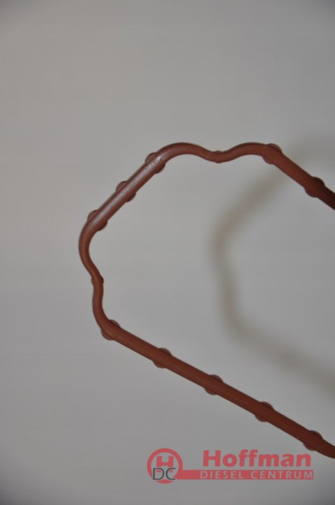 USZCZELKA DEKLA POMPY WTRYSKOWEJ BOSCH ROTACYJNEJ